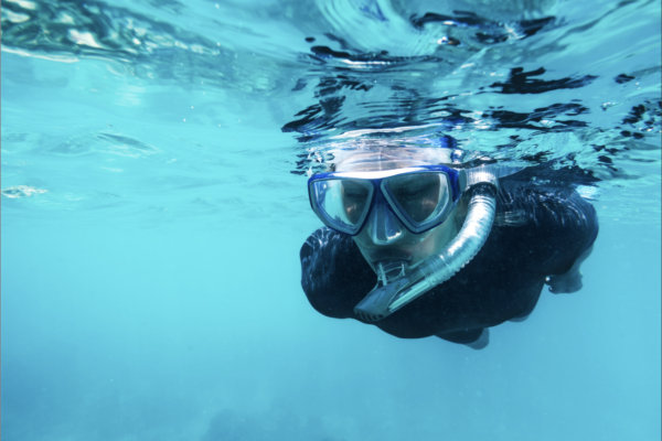 Snorkling Zanzibar